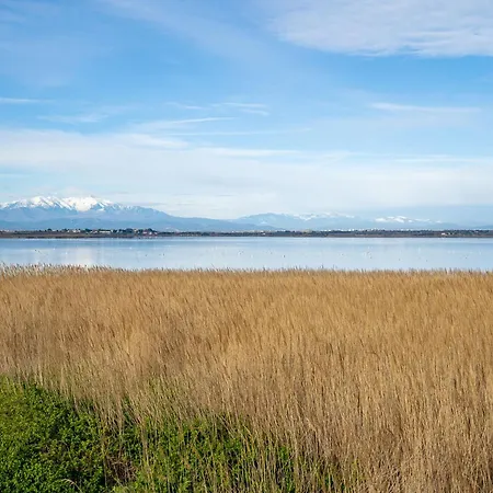 Apartamento Ajoupa-6 By Interhome Canet-en-Roussillon